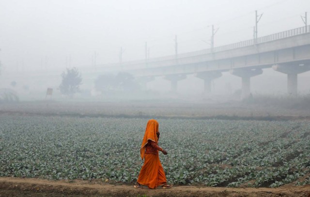 A woman walks across a field on a smoggy morning in New Delhi, India, November 13, 2017. REUTERS/Saumya Khandelwal TPX IMAGES OF THE DAY