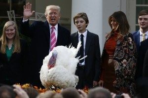 Trump honra tradición y libra a dos pavos de ser comidos en Acción de Gracias (fotos)