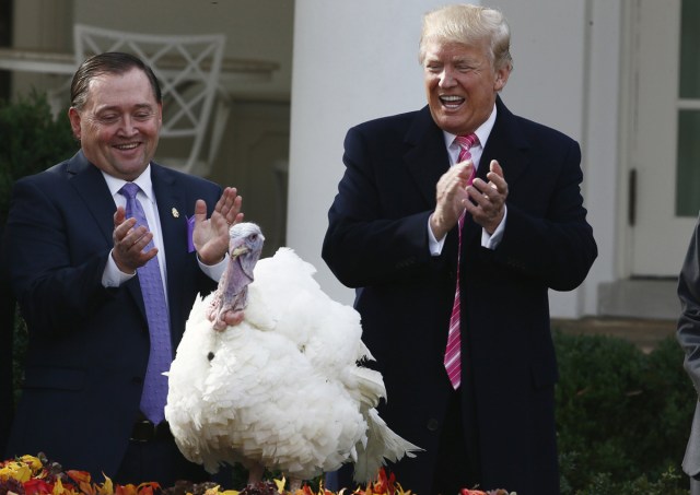 U.S. President Donald Trump laughs and applauds as he participates in the 70th National Thanksgiving turkey pardoning ceremony in the Rose Garden of the White House in Washington, U.S., November 21, 2017. REUTERS/Jim Bourg