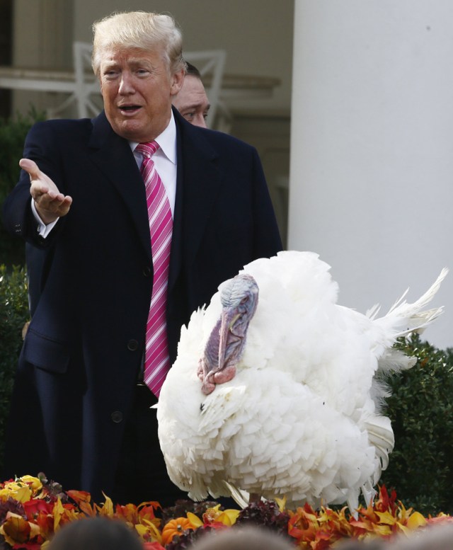 U.S. President Donald Trump participates in the 70th National Thanksgiving turkey pardoning ceremony in the Rose Garden of the White House in Washington, U.S., November 21, 2017. REUTERS/Jim Bourg
