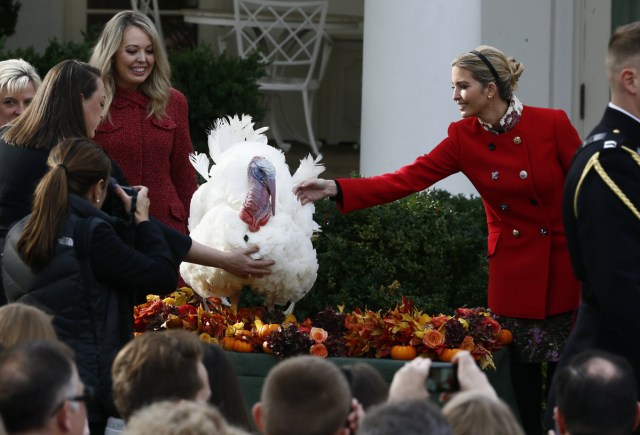 REFILE: CORRECTING NAME OF TURKEY White House senior advisor Ivanka Trump pets the National Thanksgiving turkey "Drumstick" as Tiffany Trump (3rdL), daughter of U.S. President Donald Trump, looks on during the 70th turkey pardoning ceremony in the Rose Garden of the White House in Washington, U.S., November 21, 2017. REUTERS/Jim Bourg