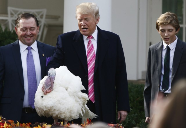 U.S. President Donald Trump reaches out and touches "Drumstick" the turkey as he pardons the bird with his son Barron at his side during the 70th National Thanksgiving turkey pardoning ceremony in the Rose Garden of the White House in Washington, U.S., November 21, 2017. REUTERS/Jim Bourg
