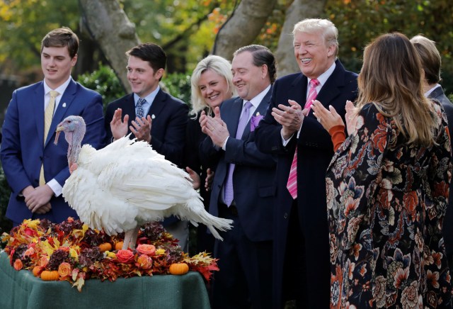 U.S. President Donald Trump participates in the 70th National Thanksgiving turkey pardoning ceremony in the Rose Garden of the White House in Washington, U.S., November 21, 2017. REUTERS/Carlos Barria     TPX IMAGES OF THE DAY