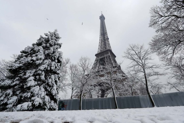 Snow-covered trees are seen near the Eiffel Tower in Paris, as winter weather with snow and freezing temperatures arrive in France, February 7, 2018. REUTERS/Gonzalo Fuentes