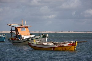 Cinco muertos y seis desaparecidos por naufragio de embarcaciones en Brasil