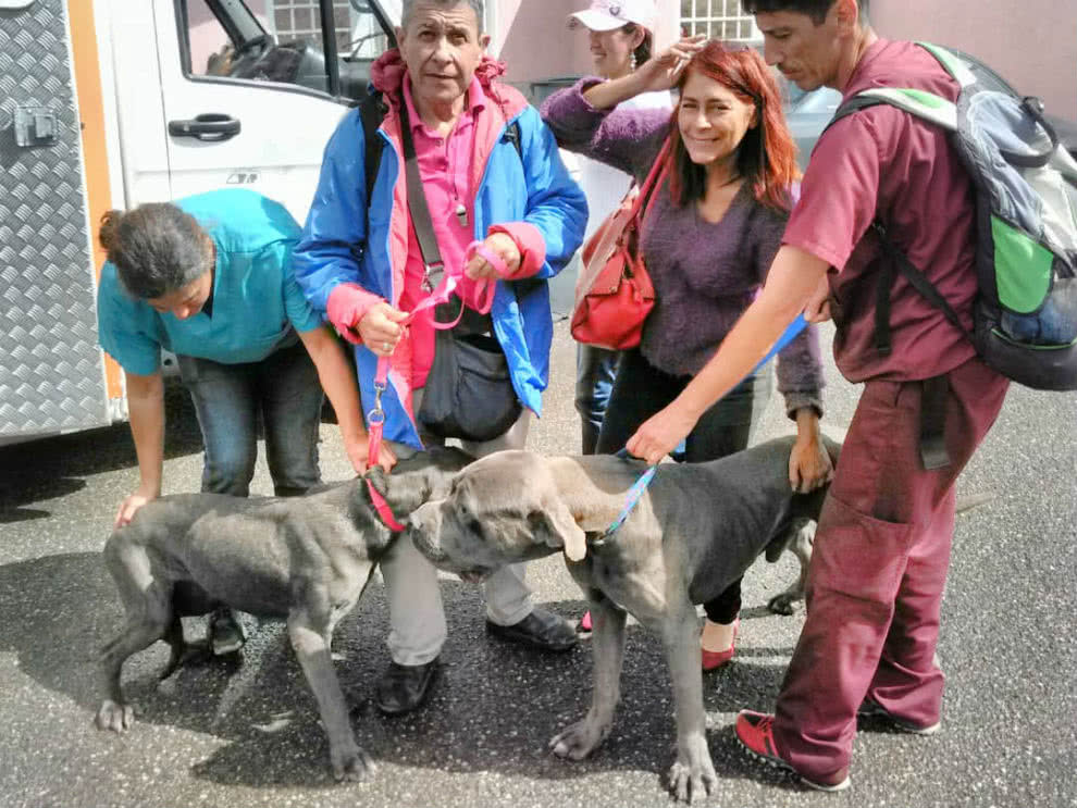 Proteccionistas independientes rescataron a las mascotas del coronel García Palomo