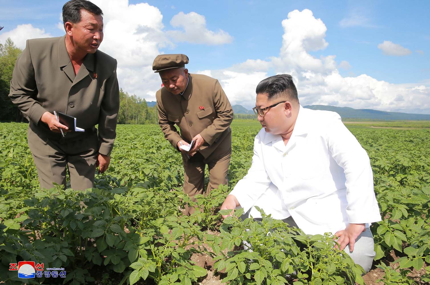 Parece que Kim Jong-un prefirió visitar un cultivo de papas que ver a Pompeo (fotos)