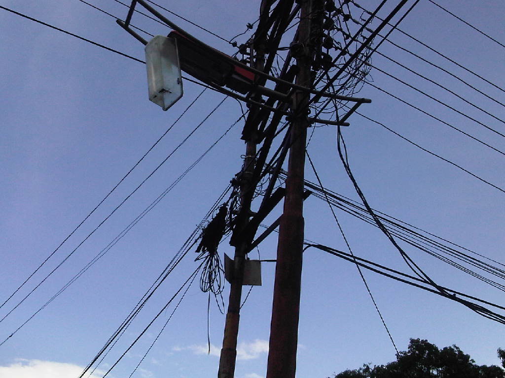 Adolescente muere electrocutada al intentar agarrar mangos en Guárico