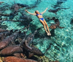 ¡A sobarse! Un tiburón la mordió cuando se sacaba una foto para Instagram