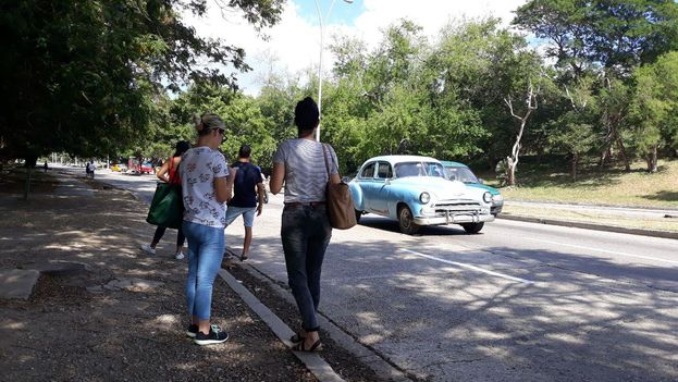 En medida de protesta, taxis circulan vacíos en La Habana