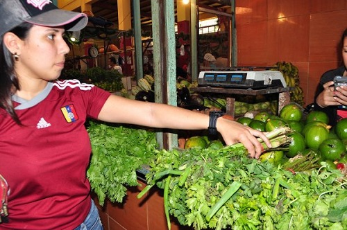 El precio de la cebolla llegó a 6 mil bolívares en Vargas