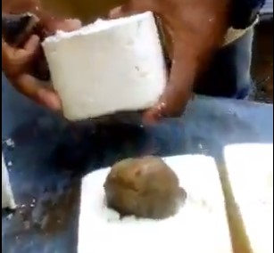 ¡Cuidado! Estafadores venden el queso con piedras adentro para darle más peso y quitarte más dinero (VIDEO)