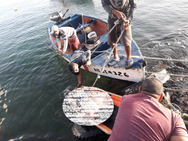 Pescadores hallan cadáver del joven desaparecido en Playa Pelúa