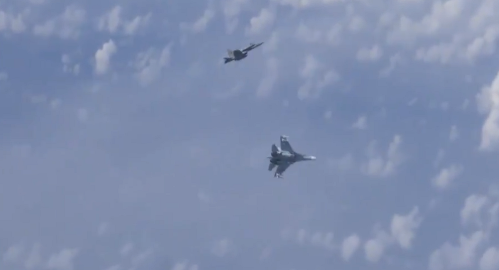 Interceptan un F18 de la OTAN que se acercó al avión donde viajaba ministro de Defensa ruso (VIDEO)
