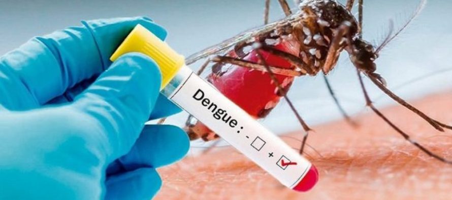 Perú declaró alerta epidemiológica por brote de dengue con ocho muertos
