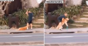 EN VIDEO: Volvió después de pasear y la reacción de su perro dejó a todos sin palabras