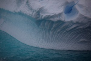 El cambio climático tiñe de verde la nieve de la Antártida
