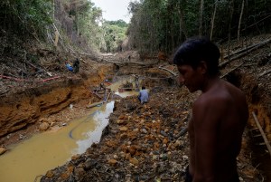 Minería ilegal, extorsión y negocios turbios: aumenta la crisis medioambiental en el Parque Nacional Canaima