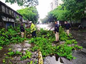 Lluvias dejaron secuelas en el municipio Chacao (Fotos y video)