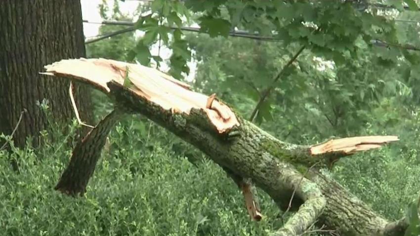 Autoridades confirmaron que un tornado tocó suelo en Nueva Jersey causando estragos