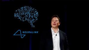 Elon Musk prometió que pondrá implantes en el cerebro humano: cómo fue la demostración con un mono