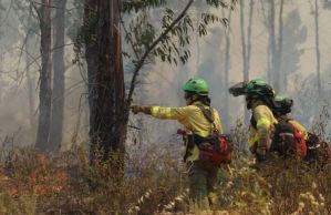Cerca de 3.500 evacuados y 10.000 hectáreas quemadas por incendios en España