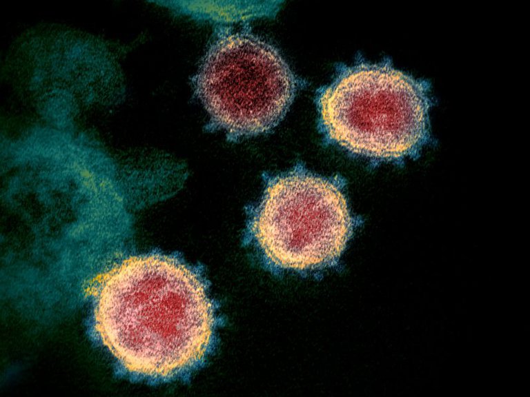 ¿Cuál es la nueva ruta que encontró el coronavirus para infectarnos?