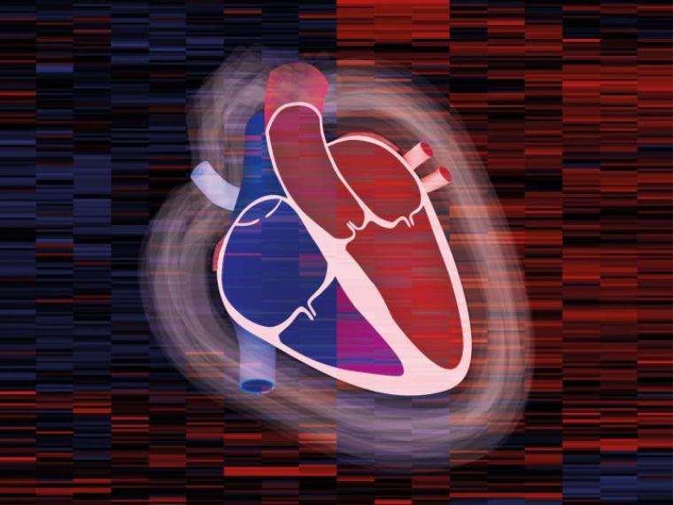 Crean mapa detallado del corazón que podría guiar tratamientos personalizados
