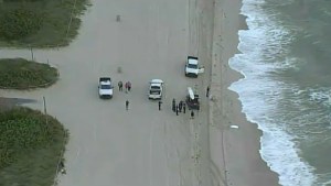 Descubrieron el cuerpo de una mujer cerca de la costa en Miami Beach