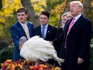 ¿Por qué el presidente de EEUU perdona a un pavo en Thanksgiving?