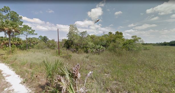 Vio en Google Maps un presunto “ovni gigante” en Florida pero se llevo una sorpresa (Foto)