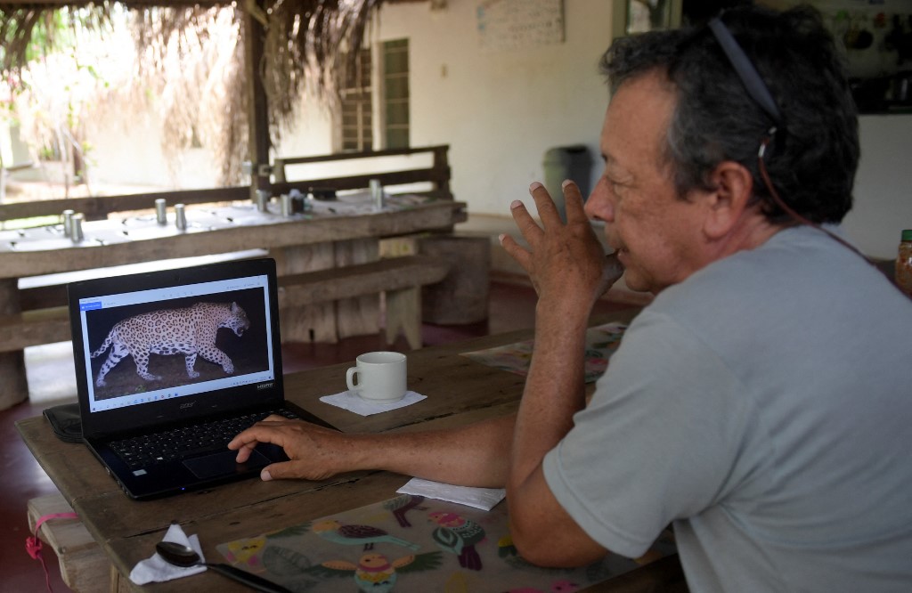 El ganadero colombiano que hizo las paces con el jaguar que se come sus vacas