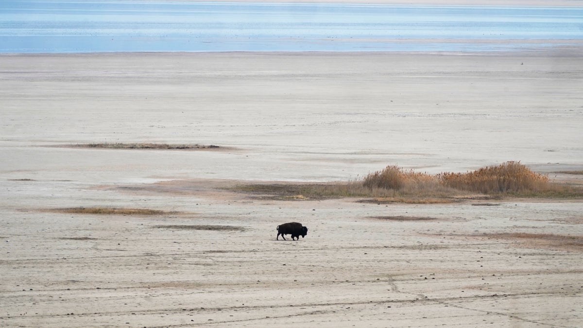 El “Mar Muerto” de EEUU está liberando arsénico al aire por una mega sequía