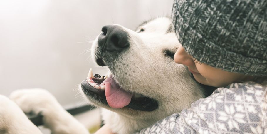 Confirman que abrazar a un perro mejora el bienestar mental y reduce el estrés