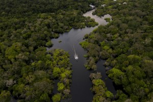 La devastación se ensaña con las “tierras de nadie” de la Amazonía brasileña