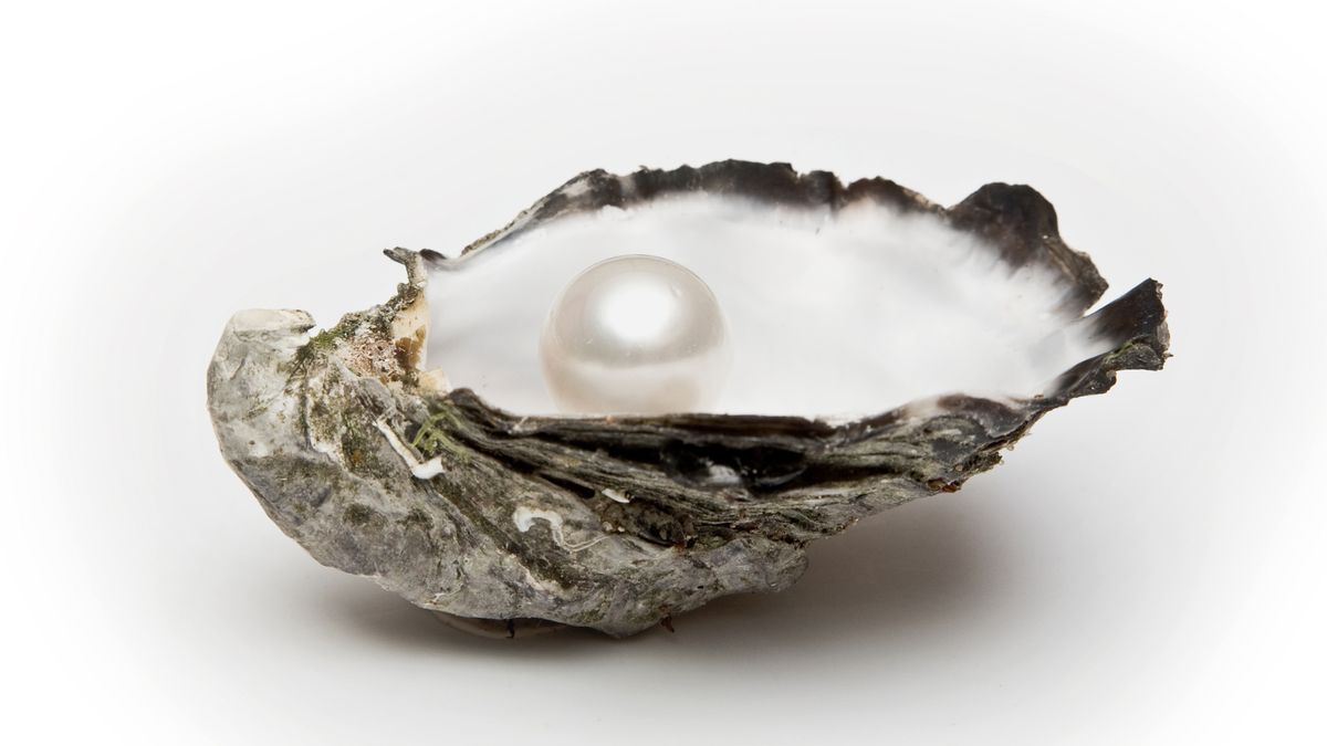 ¡Que suertuda! Nunca imaginó conseguirse 12 perlas en su cena de ostras en EEUU