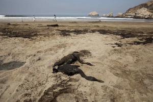 Repsol atribuyó a un “fenómeno imprevisible” el derrame de crudo en mar de Perú