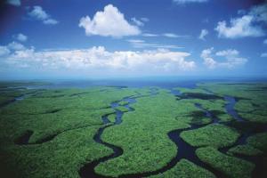 EEUU destina 1.100 millones para restaurar reserva ecológica en Florida