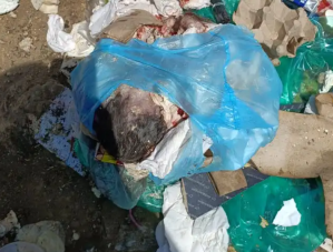 Vecinos encontraron a un neonato con cordón umbilical en basurero de El Valle  
