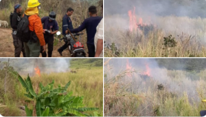 Fuerte incendio este #28Ene en el Parque Nacional Henri Pittier de Aragua (VIDEO)