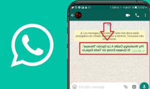 WhatsApp: ¿Cómo enviar mensajes “al revés” sin tener que instalar aplicaciones desconocidas?