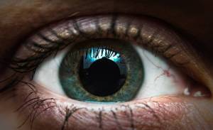 Los ojos humanos, órganos que pueden ser inmortales