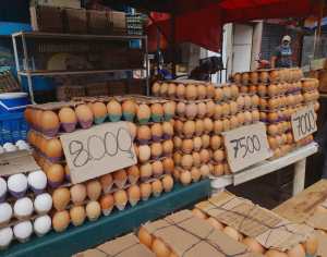 Alto costo de los huevos obliga a los tachirenses a reducir el consumo de la proteína