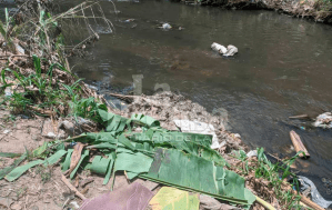 Cicpc tras la pista de progenitora del bebé desmembrado hallado en Barquisimeto