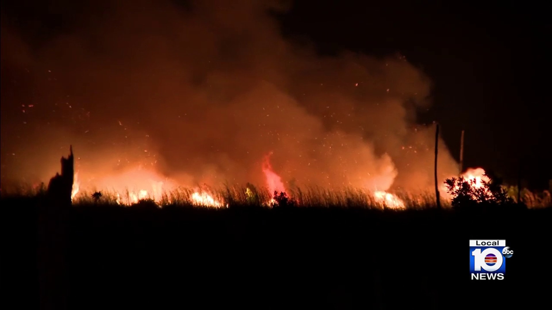 Más de 48 horas de ardua lucha para combatir incendio forestal en Miami-Dade