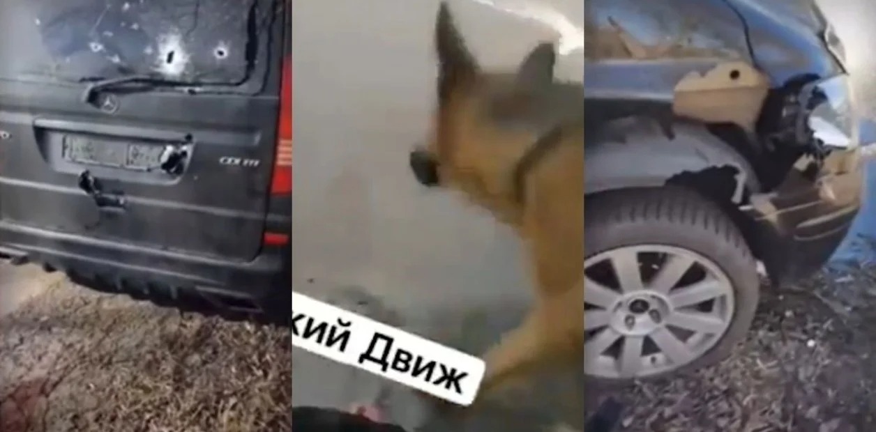 Escena desoladora: Perro se quedó inmóvil junto al cuerpo de su amo asesinado por los rusos