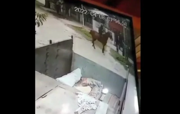 Increíble: a plena luz del día unos delincuentes montados en caballos asaltaron a dos mujeres (VIDEO)