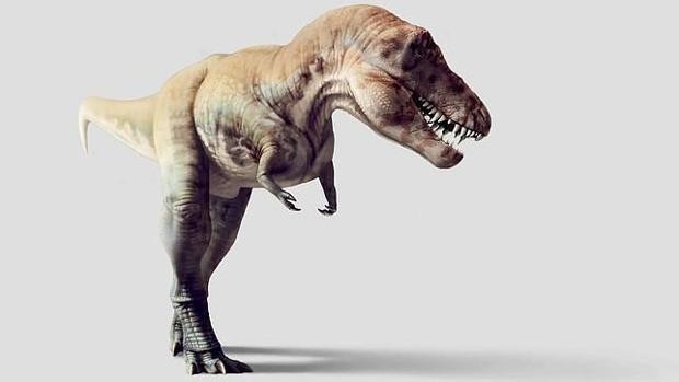 Explican por qué el Tyrannosaurus Rex tenía los brazos tan ridículamente cortos