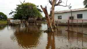 Inundaciones en Santa Inés de Barinas: donde el chavismo llegó 23 años después (FOTOS)