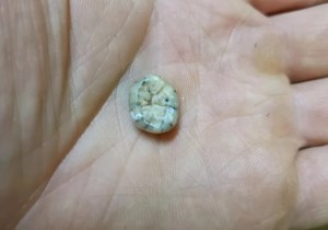 El secreto que encierra un diente encontrado en una cueva de Laos